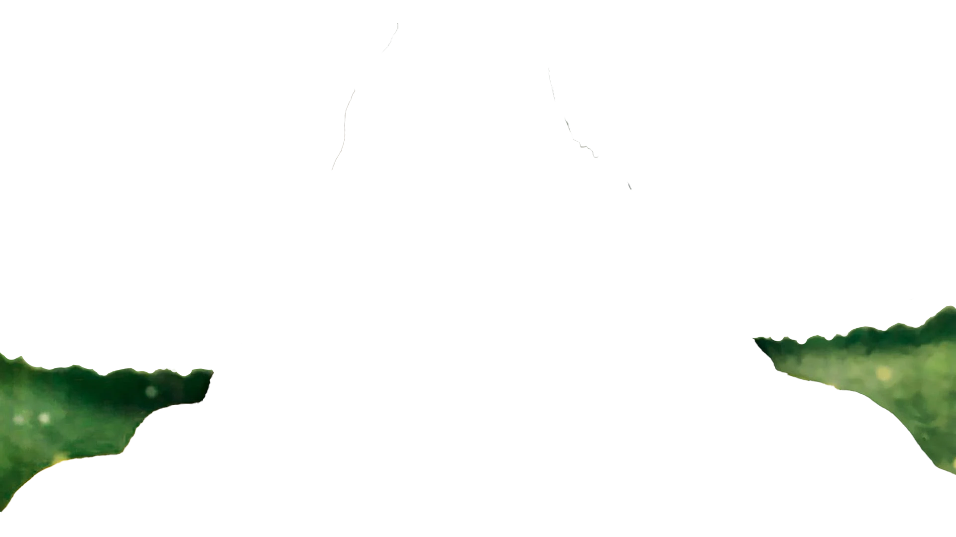 Deku Tree Layer 3
